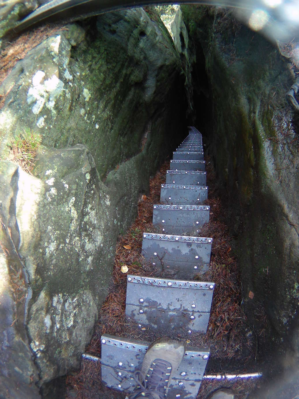 difficult way up to "Hermannseck"