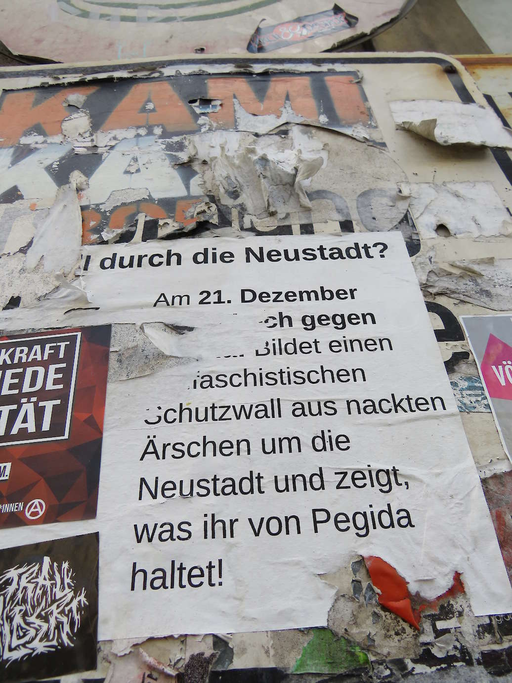 Aufruf zum Protest gegen Pegida an der Dreikönigsschule auf der Louisenstraße.