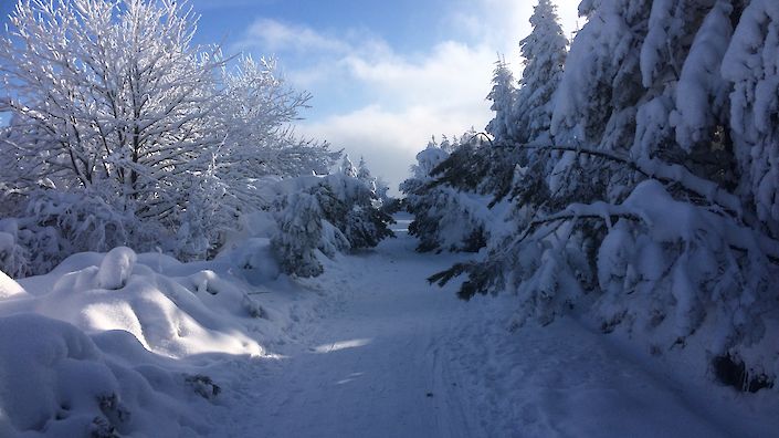 Winterlandschaft in Altenberg