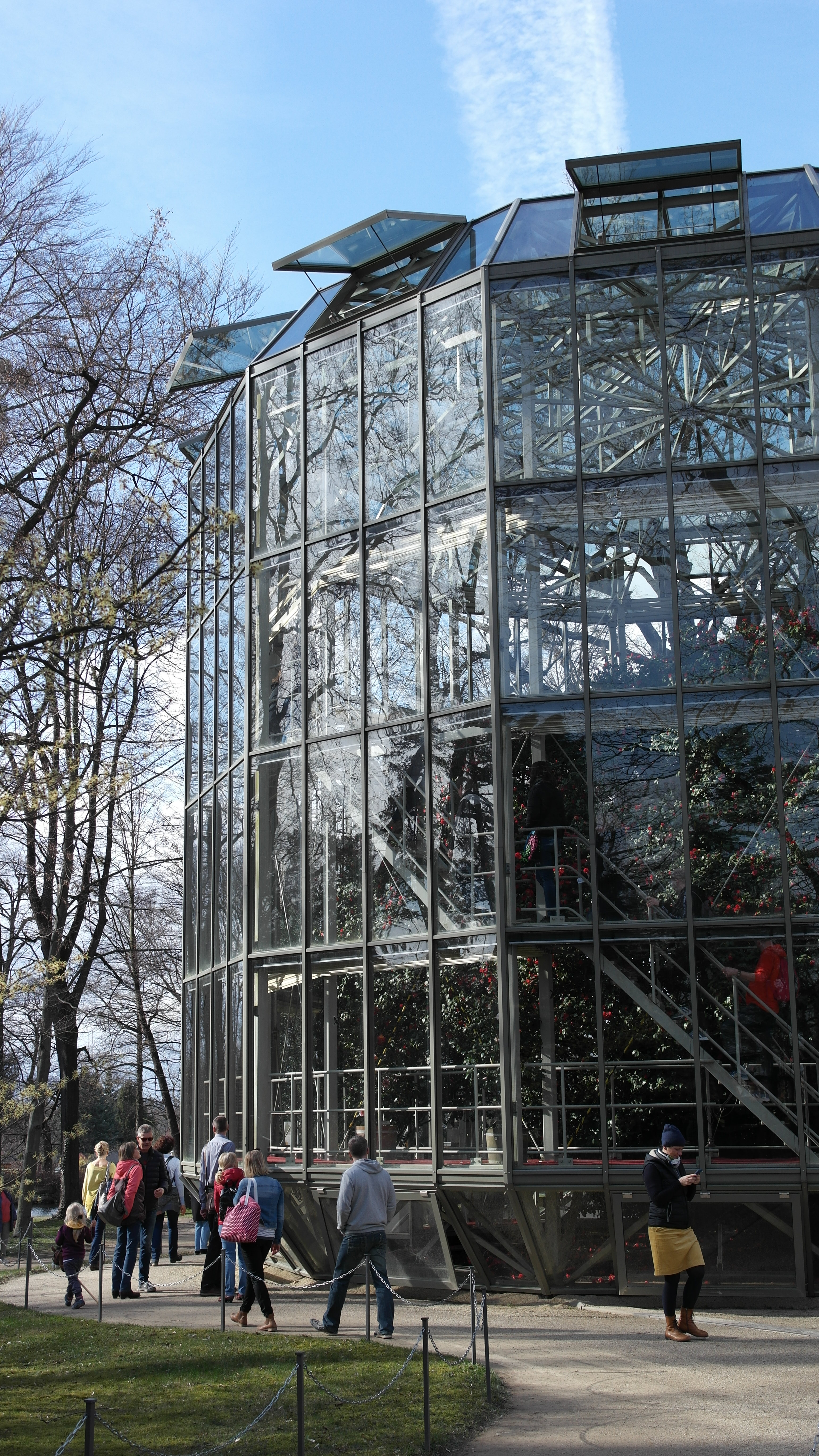 kamelienhaus_pillnitz-1.jpg