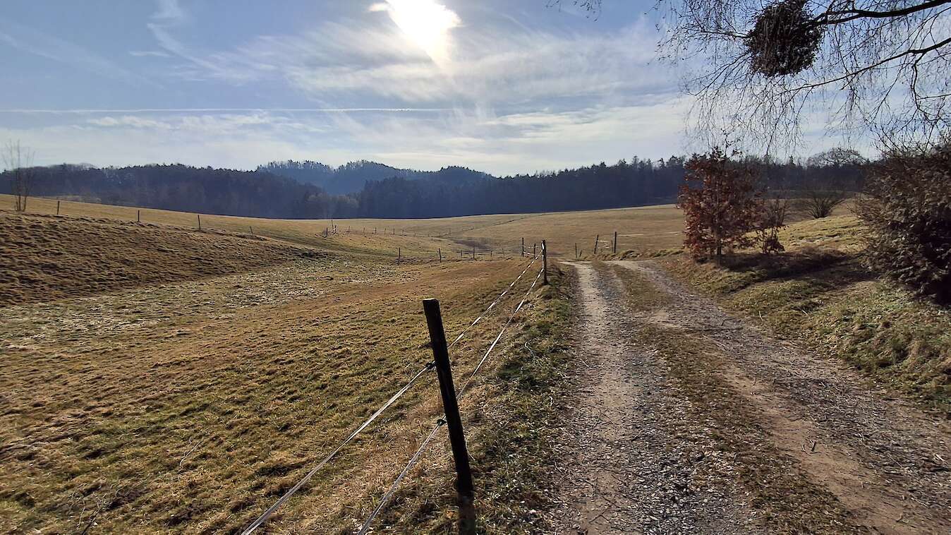 Aufstieg aus dem Elbtal Richtung kleiner Bärenstein
